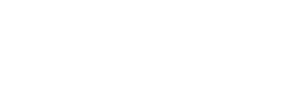 diehl defence logo.svg
